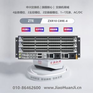 ZXR10 C89E-3