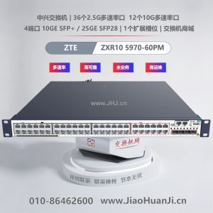 ZXR10 5970-60PM